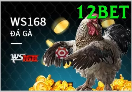 Đá Gà Trực Tiếp - Ưu đãi đặc biệt - Điều khoản